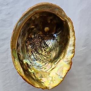 VINTAGE  MID-CENTURY  LUCITE  FOOTED  ABALONE  SHELL  BOWL  IRIDESCENT FEATURES